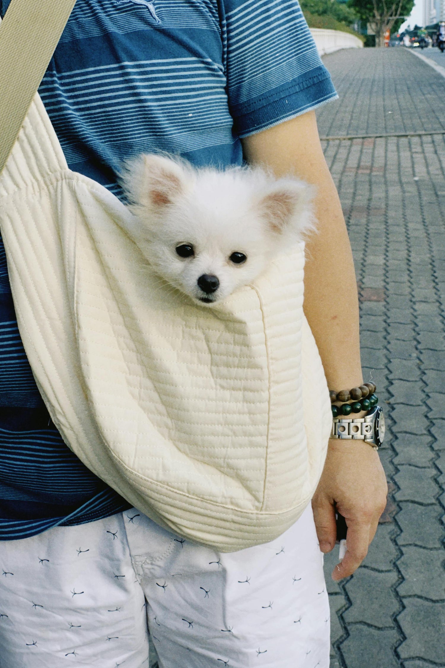 Pet Carriers
