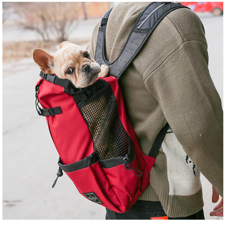 Dog in a red backpack carrier being carried by a person outdoors.