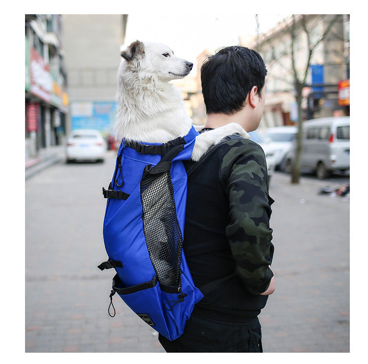 Person carrying a blue backpack with a white dog on an urban street.